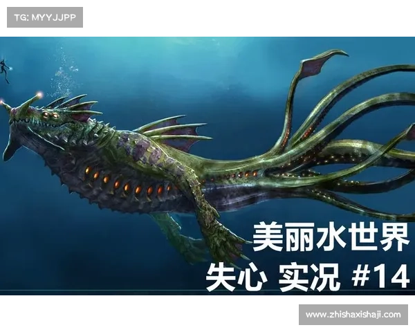 奇幻冒险再启程在仙侣2的世界中探索自我寻找归属 奇幻冒险再启程在仙侣2的世界中探索自我寻找归属
